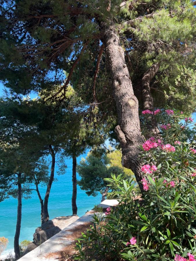 Sunny Breeze Apartment Vlorë Esterno foto